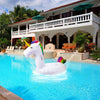 unicorn in the swimming pool lifestyle photo