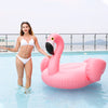 pink flamingo lifestyle in the swimming pool